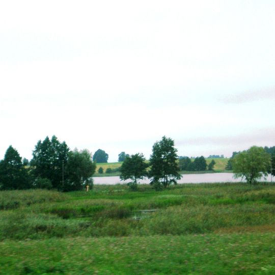 Comune di Marijampolė