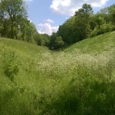 Pingle Wood and Cutting