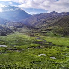 Cotapata National Park and Integrated Management Natural Area