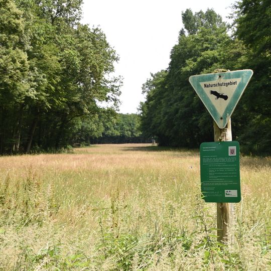 Hegbachaue bei Messel