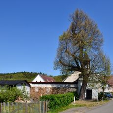 Lípy u kapličky v Málkově