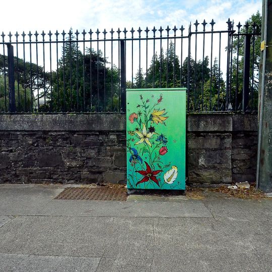 Garden Of Live Flowers