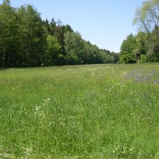 Naturschutzgebiet 'Urlesbachtal'