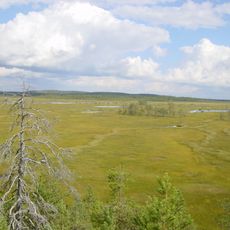 Park Narodowy Patvinsuo