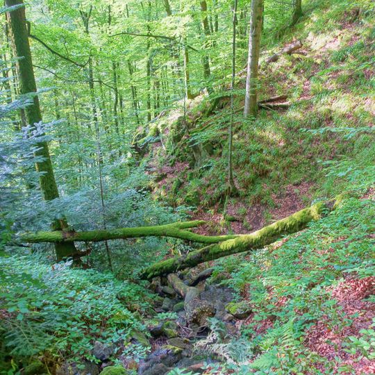 Weidfelder bei Gersbach und an der Wehra