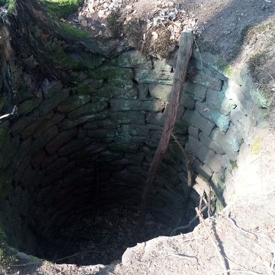 Wolfsfang Aulenbacher Forst