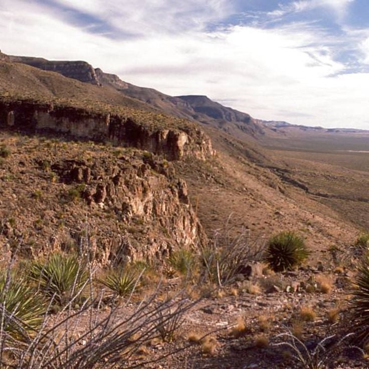 Park Stanowy Oliver Lee Memorial