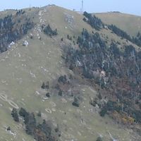 三好市