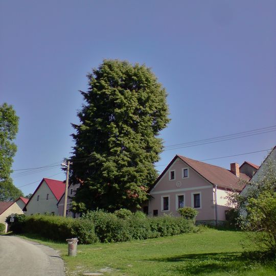 Lípa u č.p. 14 v Malíkově nad Nežárkou