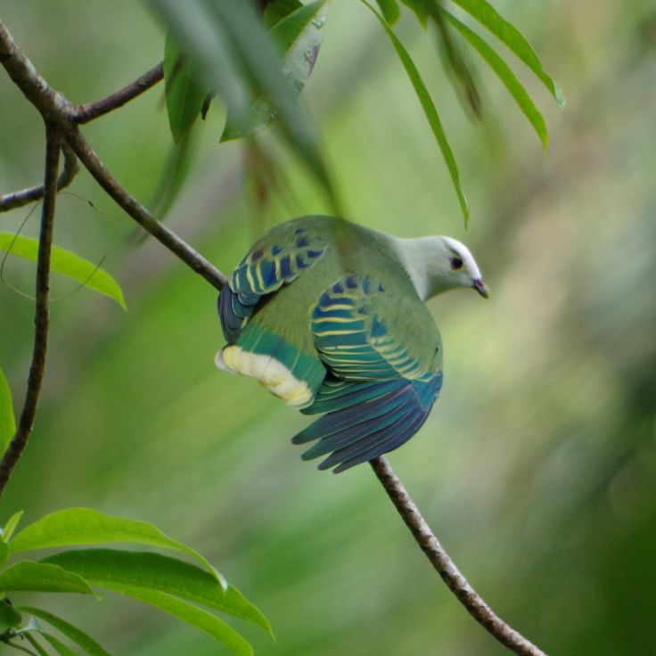 Riserva Naturale di Motane
