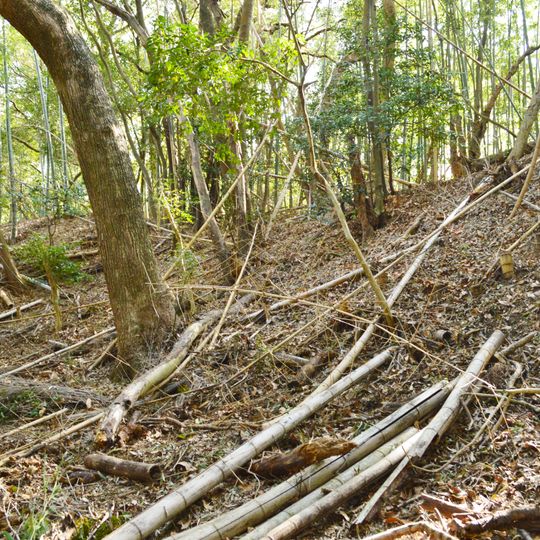 Inbe Hachiman-yama Kofun