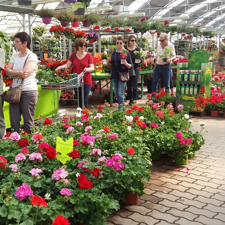 Municipal Museum Garden