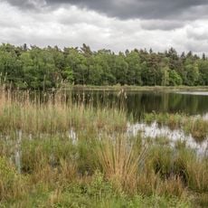 Lüsekamp und Boschbeek