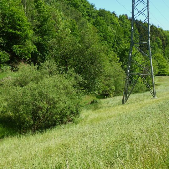 LSG-Talraum des Berkeybaches suedlich Eversberg