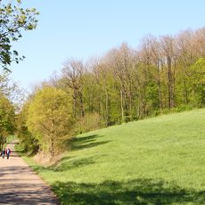 Pflanzenstandort Marterhölzle