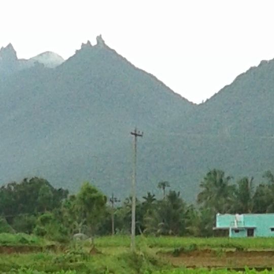 Godumalai