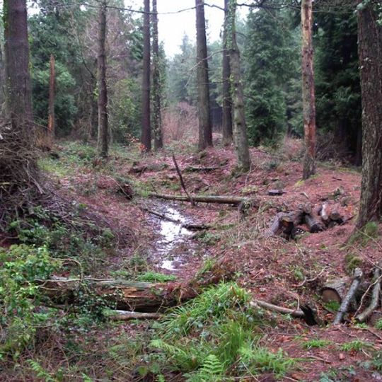 Chepstow Park Wood Earthwork