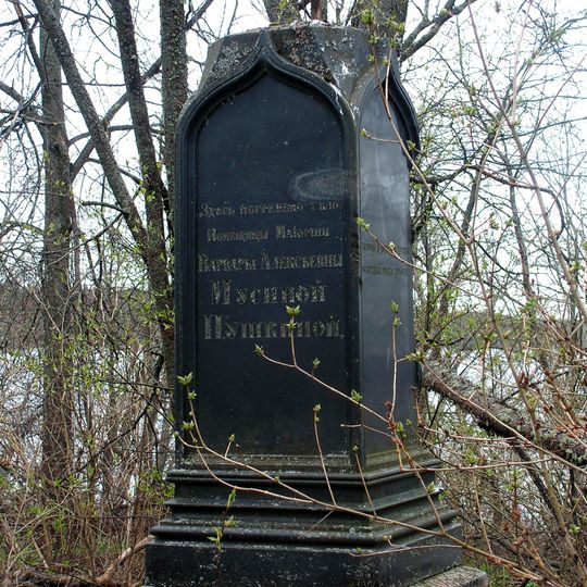 Усадьба Мусиных-Пушкиных )