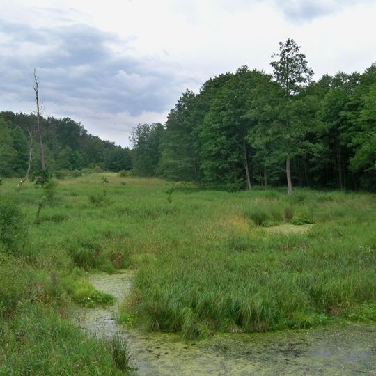 Nature reserve Źródło Królewskie