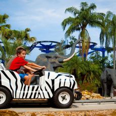 Safari Trek