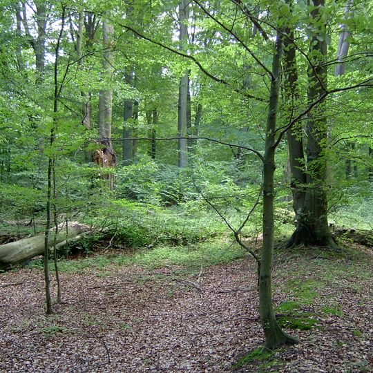 Rezerwat przyrody Glinki