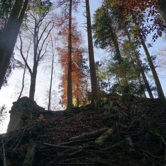 Riedburg castle ruin