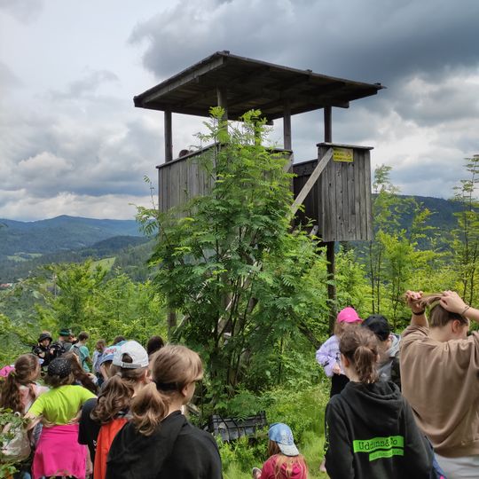 Wieża widokowa Szarcula