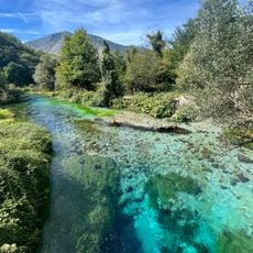 Œil bleu