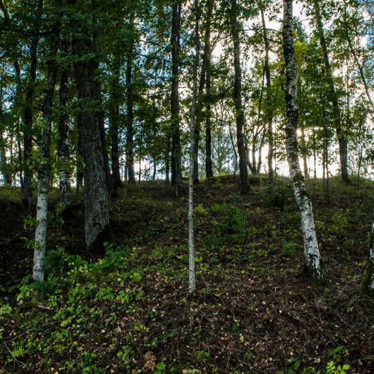 Vella cepure - senkapi