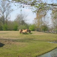 Planckendael Zoo
