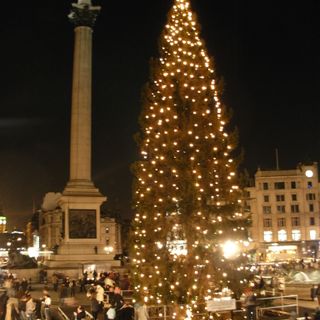 Árvore de Natal da Trafalgar Square