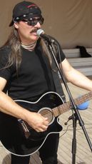 Vasile Șeicaru