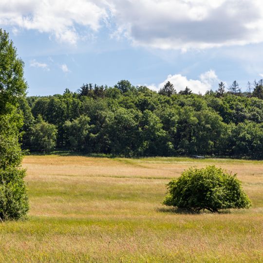 Wechselfeuchtes Grünland nordwestlich Haiger-Flammersbach