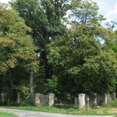 Památný strom v parčíku Hýsly