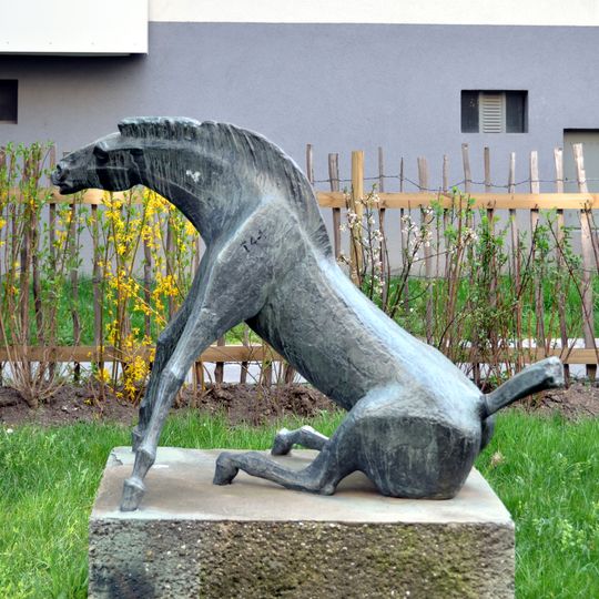 Aufspringendes Pferd