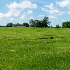 Wierde (Leegkerk III)