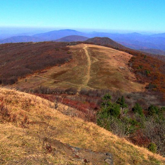 Bald Mountain