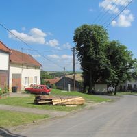 Javorovec