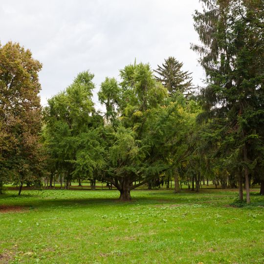 Kaštieľ Zámojských, Viszkeleti, park