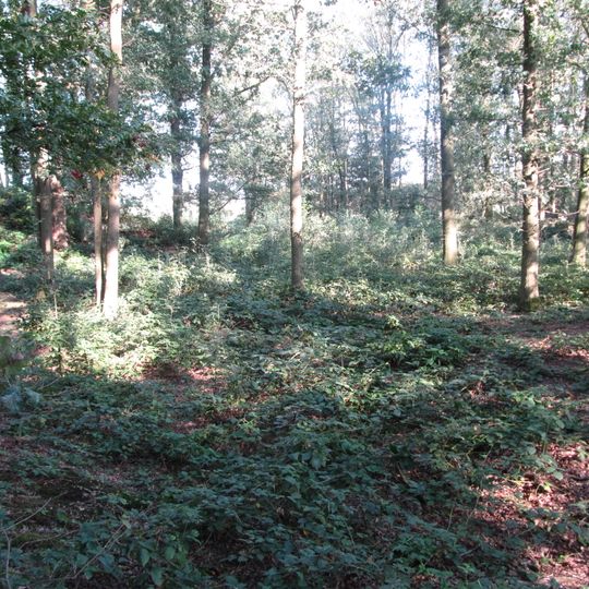 Site with castle hill Bollenberg