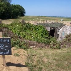 Hillman Site