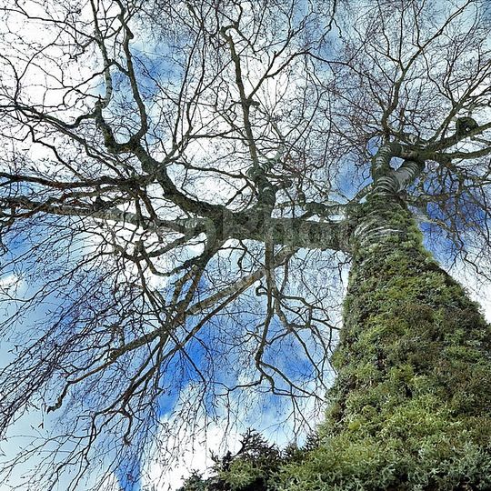 Kologrivsky Nature Reserve