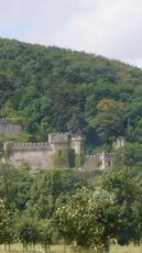 Gwrych Castle