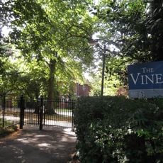 The Vines, Oxford