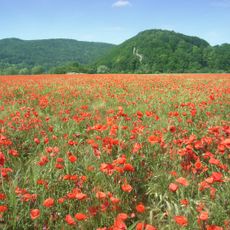 Landschaftsschutzgebiet Auenverbund Werra
