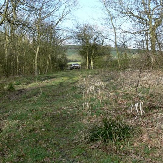 Owston Woods
