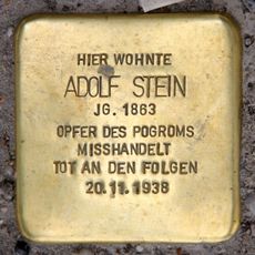 Adolf Stein