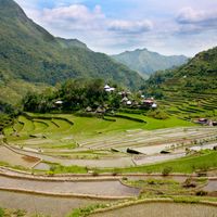 Ifugao