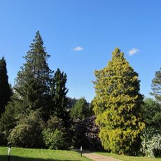 Sachgesamtheit Rhododendronpark Kleine Bastei mit folgenden Einzeldenkmalen: Pension mit Gaststätte (Nr. 10) und Nebengebäude (Nr. 11) (siehe Einzeldenkmalliste - Obj. 09223892), dazu Parkanlage mit Teich, Aussichtsplatz und bedeutendem Gehölzbest