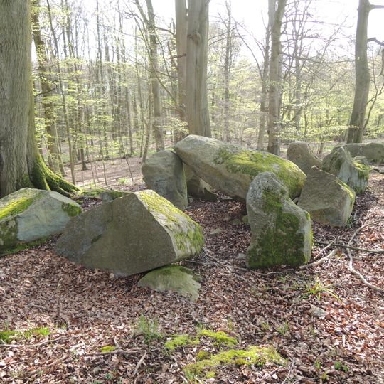 Großsteingrab Forst Tarnow 1